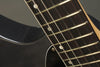 Darby, DelRey, Alder, 12" radius rosewood fingerboard, Dark Ion