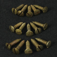 Vintage-Style, Slot-Head, Aged, Pickguard Screws